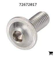 AGCO 72672017 Винт