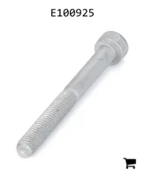 AGCO E100925 Болт