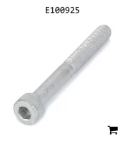 AGCO E100925 Болт