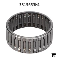 AGCO 3815653M1 Игольчатый роликовый подшипник