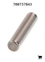 AGCO 700737843 Палец