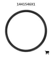 AGCO 1441546X1 Уплотнительное кольцо