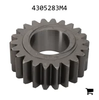 AGCO 4305283M4 Шестерня дифференциала
