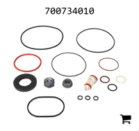 AGCO 700734010 Ремкомплект