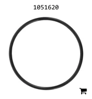 AGCO 1051620 Уплотнительное кольцо