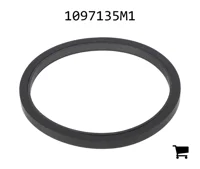 AGCO 1097135M1 Уплотнение