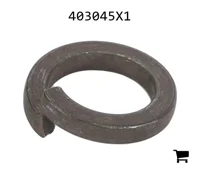 AGCO 403045X1 Стопорная шайба