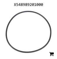 AGCO X548989201000 Уплотнительное кольцо масляного насоса