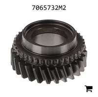 AGCO 7065732M2 Косозубая шестерня