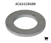 AGCO ACW1628600 Плоская шайба