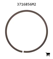 AGCO 3716856M2 Сегмент