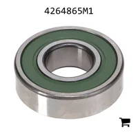 AGCO 4264865M1 Подшипник 6204