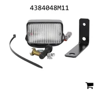 AGCO 4384048M11 Код доступа