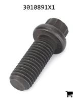 AGCO 3010891X1 Винт с 12-гранной фланцевой головкой