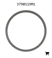 AGCO 3790119M1 Шайба