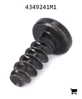 AGCO 4349241M1 Винт