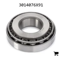 AGCO 3014076X91 Конический роликовый подшипник задней оси