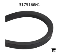 AGCO 3175160M1 Ремень