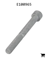 AGCO E100965 Болт