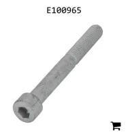 AGCO E100965 Болт