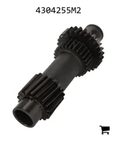 AGCO 4304255M2 Шестерня