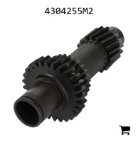 AGCO 4304255M2 Шестерня