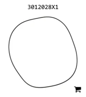 AGCO 3012028X1 Уплотнительное кольцо