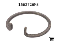 AGCO 1662726M3 Кольцо