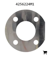 AGCO 4256224M1 Шайба