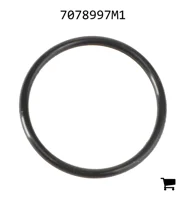 AGCO 7078997M1 Уплотнительное кольцо топливного насоса