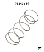 AGCO 70243654 Пружина