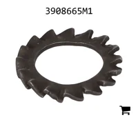 AGCO 3908665M1 Шайба