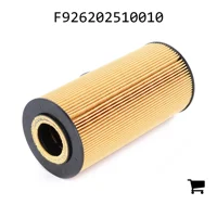 AGCO F926202510010 Масляный фильтр