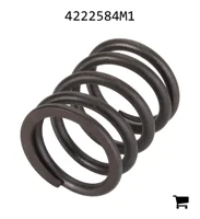 AGCO 4222584M1 Пружина
