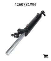 AGCO 4260781M96 Цилиндр