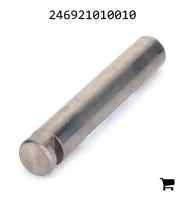 AGCO 246921010010 Болт