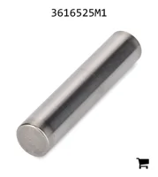 AGCO 3616525M1 Игольчатый подшипник