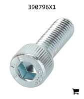 AGCO 390796X1 Винт с цилиндрической головкой и шестигранным углублением