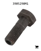 AGCO 3905290M1 Болт банджо