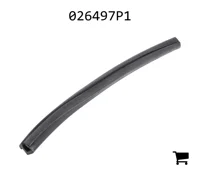 AGCO 026497P1 Пена