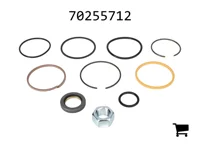 AGCO 70255712 Ремкомплект
