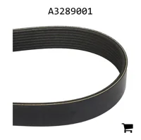 AGCO A3289001 Ремень