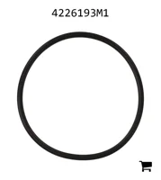 AGCO 4226193M1 Уплотнительное кольцо