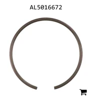 AGCO AL5016672 Кольцо