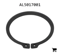 AGCO AL5017001 Кольцо