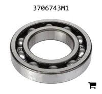 AGCO 3706743M1 Шариковый подшипник