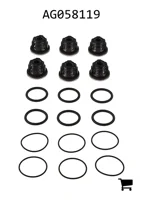 AGCO AG058119 Комплект клапанов