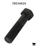 AGCO 70934424 Болт с шестигранной головкой