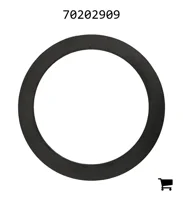 AGCO 70202909 Шайба