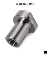 AGCO 4303613M1 Специальная гайка